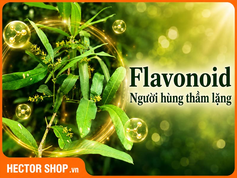 Flavonoid trong xáo tam phân hỗ trợ dọn dẹp gốc tự do