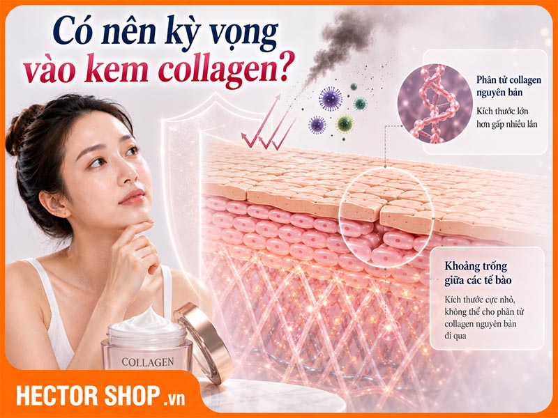 Kem collagen có những tác dụng nhất định ở lớp bề mặt da