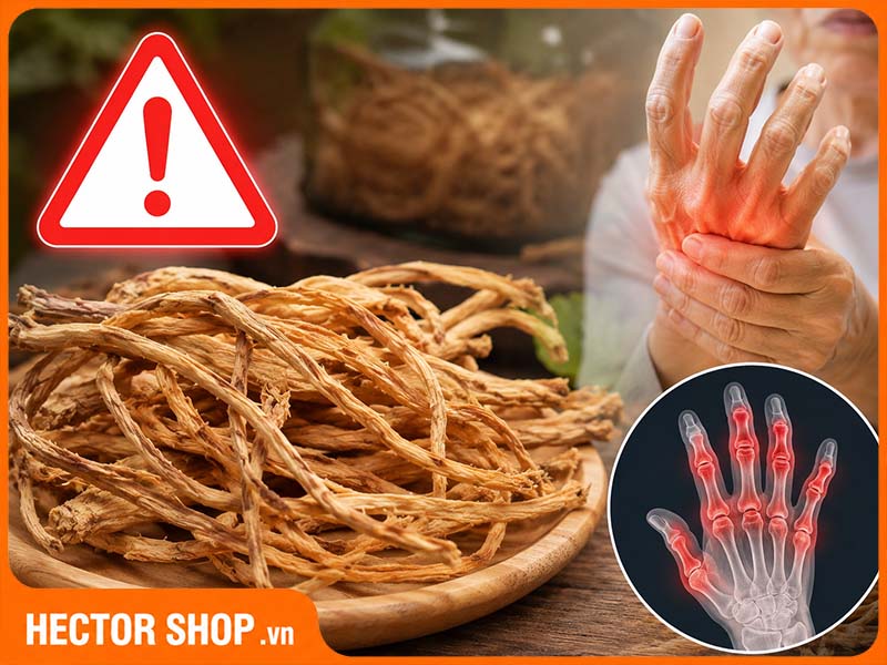 Không dùng đẳng sâm khi mắc các bệnh tự miễn