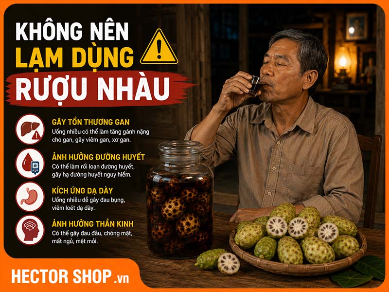 Không nên lạm dụng trái nhàu ngâm rượu