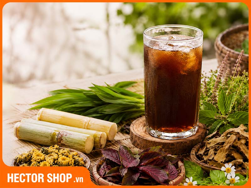 Mẹ bầu không nên lạm dùng nước sâm thảo mộc