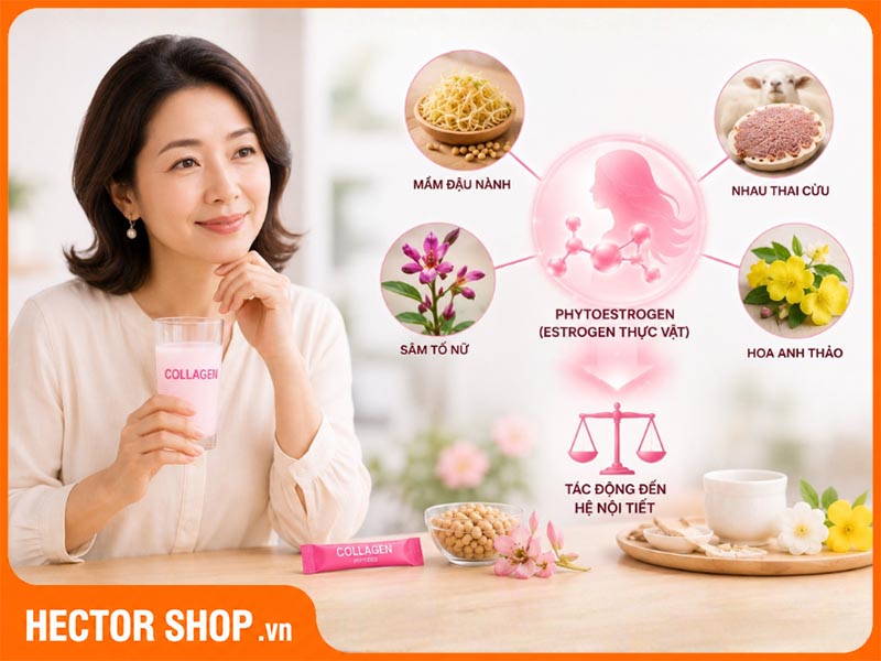 Một số hãng collagen đã bổ sung các thành phần chứa Phytoestrogen