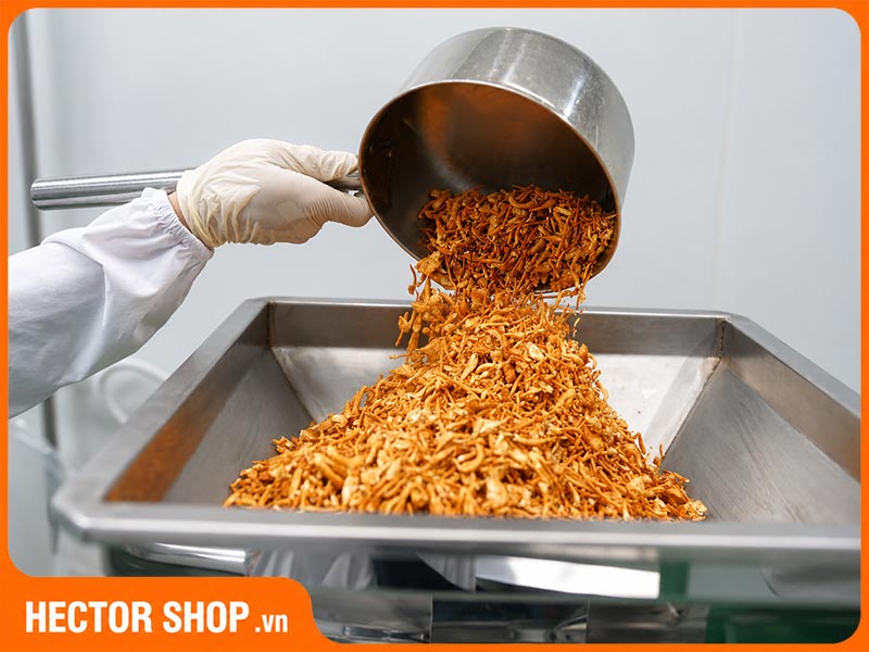 Nấm Cordyceps militaris chuẩn dược liệu