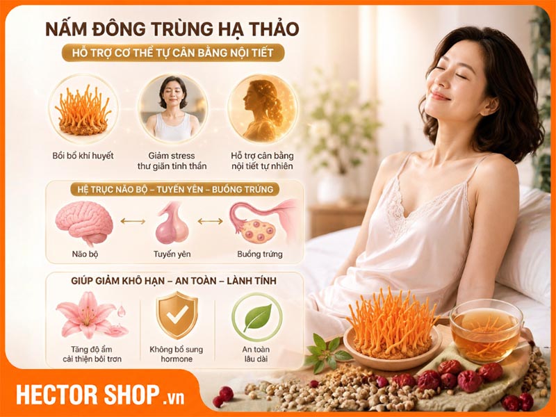 Nấm đông trùng hạ thảo hỗ trợ cân bằng nội tiết tố