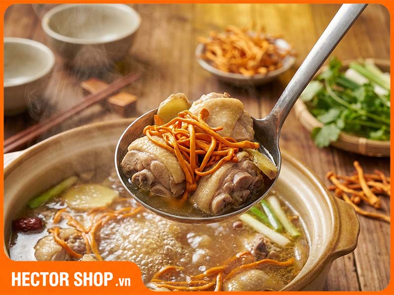 Nấu món ăn cùng với nấm đông trùng hạ thảo