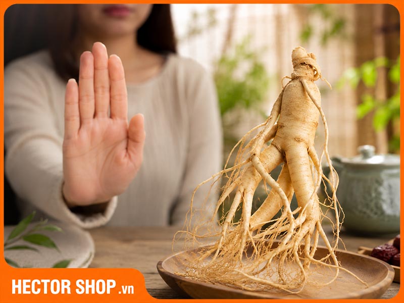 Nhân sâm có giá trị cao nhưng không dành cho tất cả mọi người