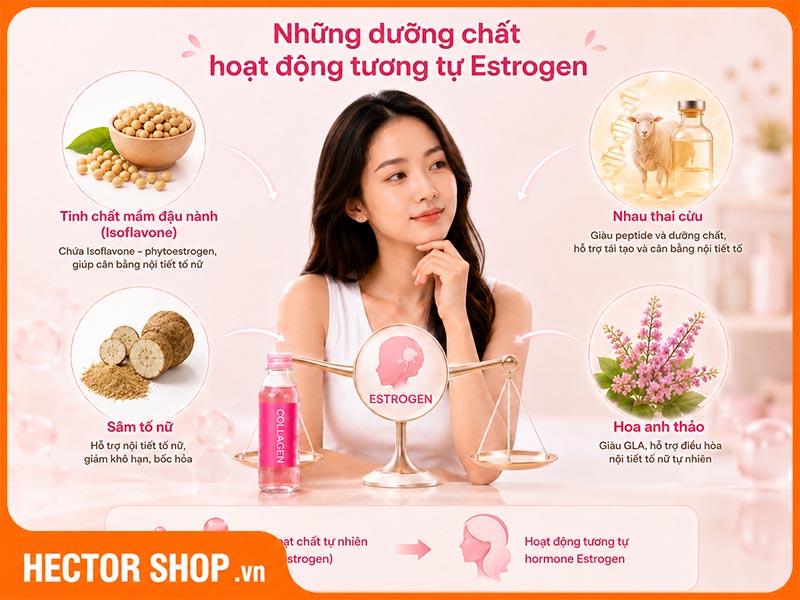 Những thành phần có tác dụng tương tự như hormone estrogen