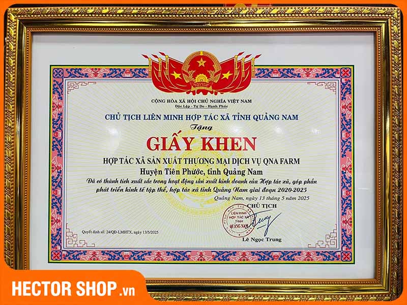 QNA Farm đã có những thành tích xuất sắc trong kinh tế tập thể