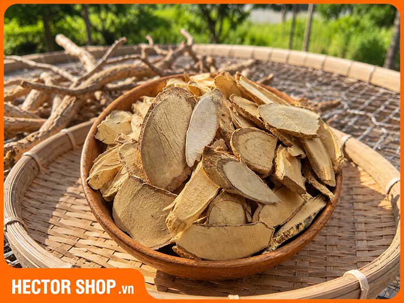 Rễ các loại cây rừng làm giả rễ cây xáo tam phân