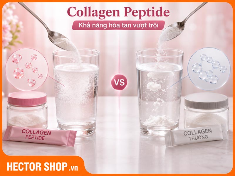 Collagen peptide có độ tinh khiết cao và khả năng thẩm thấu vượt trội