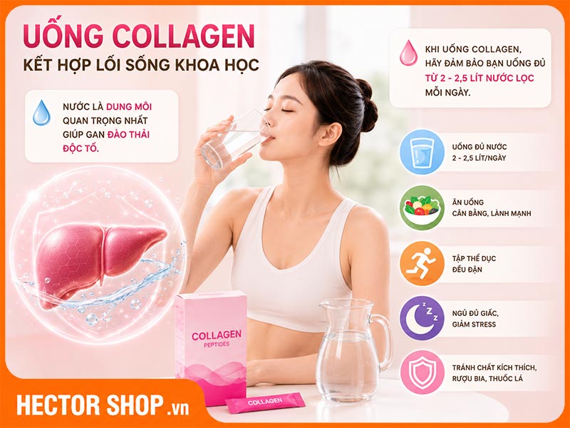 Uống collagen kết hợp với lối sống lành mạnh giúp bảo vệ gan