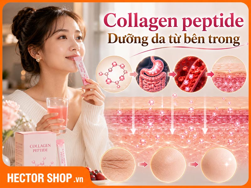 Uống collagen peptide dưỡng da từ bên trong