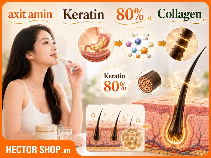 https://hectorshop.vn/bi-quyet-su-dung-dau-goi-collagen-tai-nha-chang-can-den-spa-152-25.html
