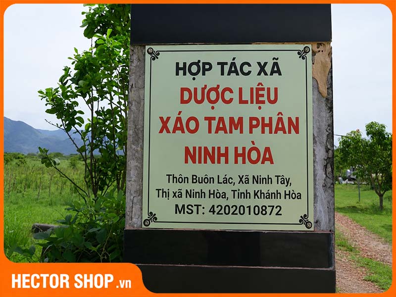 Vùng nguyên liệu xáo tam phân XATAPHA