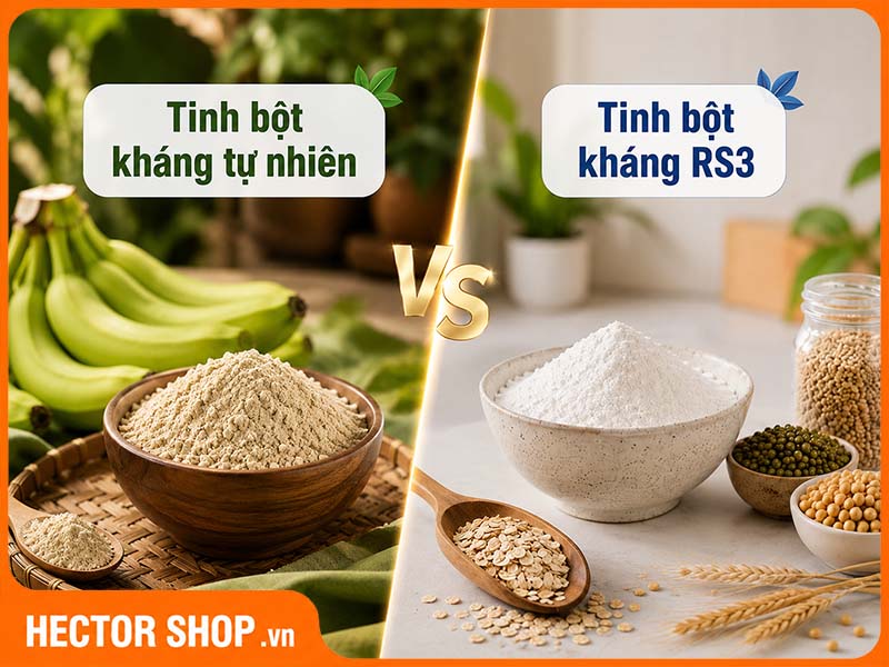 Chưa thể khẳng định tinh bột kháng tự nhiên và tinh bột kháng RS có tác dụng khác nhau