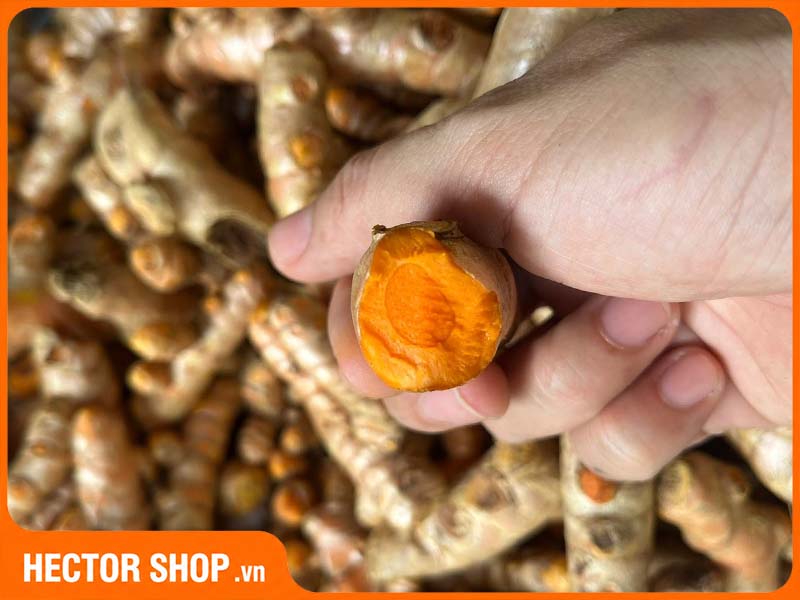 Củ nghệ đỏ sau khi chế biến sẽ có màu vàng tự nhiên
