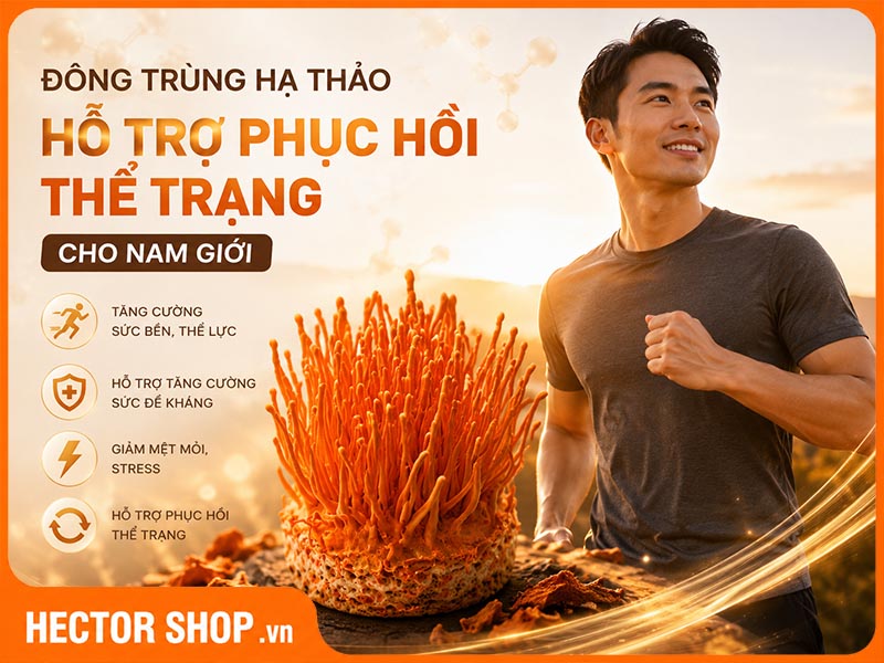 Đông trùng hạ thảo giúp phục hồi thể trạng cho nam giới