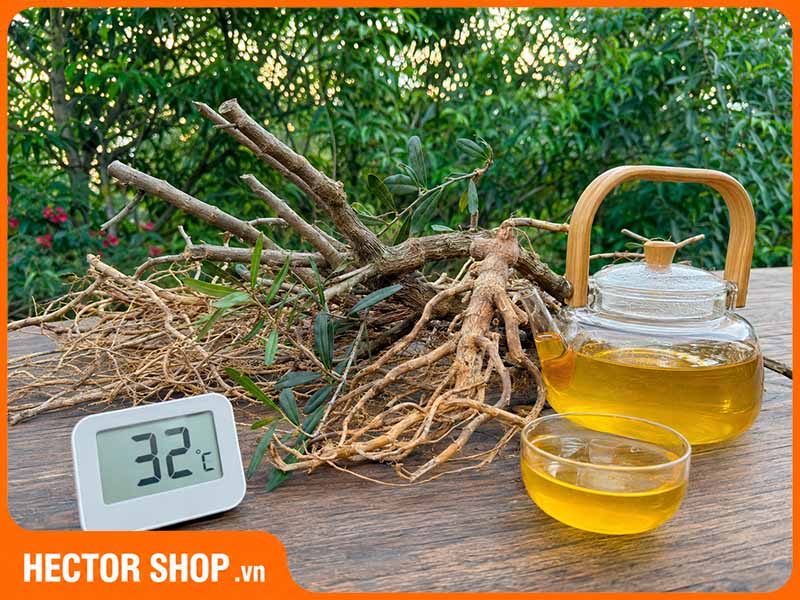 Không nên để nước trà xáo tam phân ở nhiệt độ bình thường quá lâu