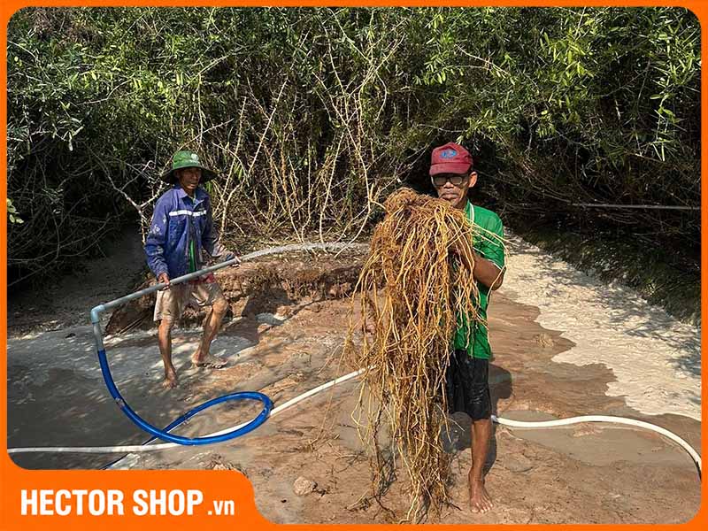 Kiểm tra nguồn gốc xáo tam phân trước khi mua