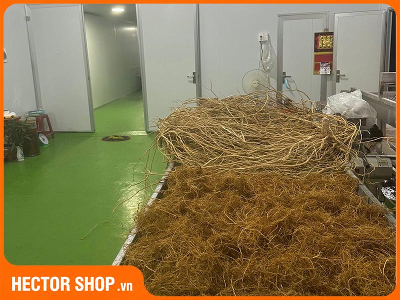 Một khu sản xuất của Công ty Dược TPC