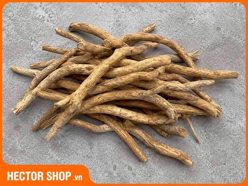 Một số rễ cây rừng có hình dạng tương tự rễ xáo tam phân
