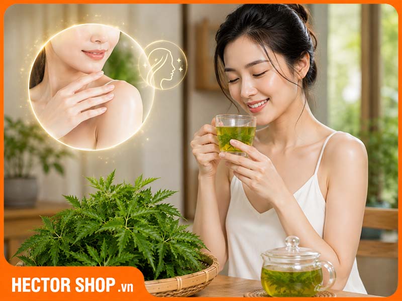 Phụ nữ dùng nước lá đinh lăng làm đẹp da theo kinh nghiệm dân gian