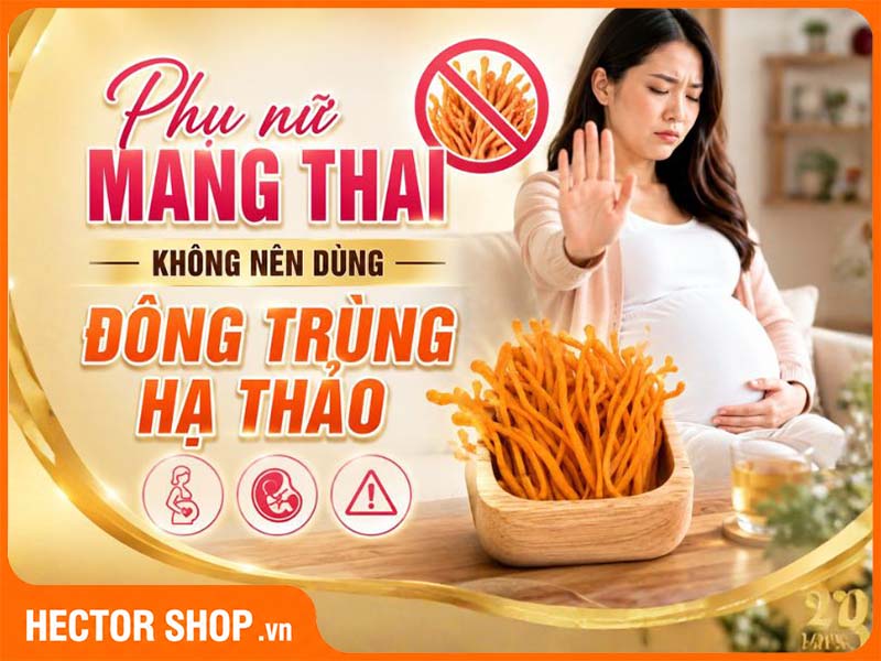 Phụ nữ mang thai không nên tự ý sử dụng đông trùng hạ thảo
