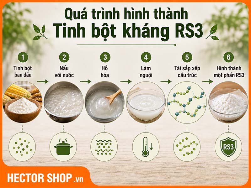 Quá trình hình thành tinh bột kháng RS3