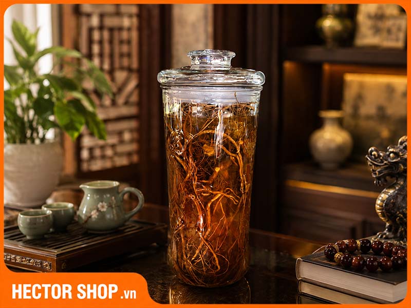 Rễ xáo tam phân ngâm rượu