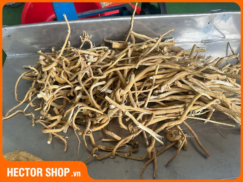 Rễ xáo tam phân