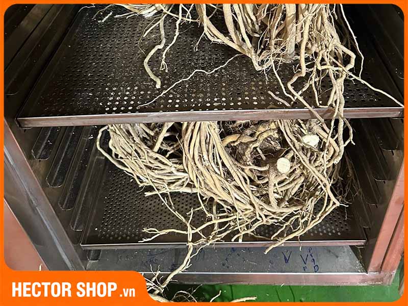 Sản phẩm sấy bằng máy có thể có giá cao hơn phơi truyền thống