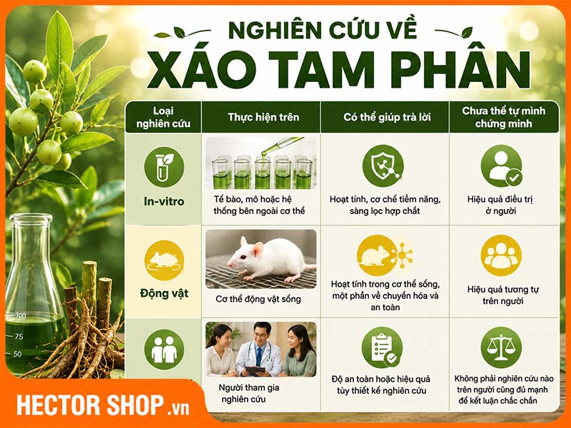 Sự khác nhau giữa nghiên cứu In-vitro, động và và trên cơ thể người