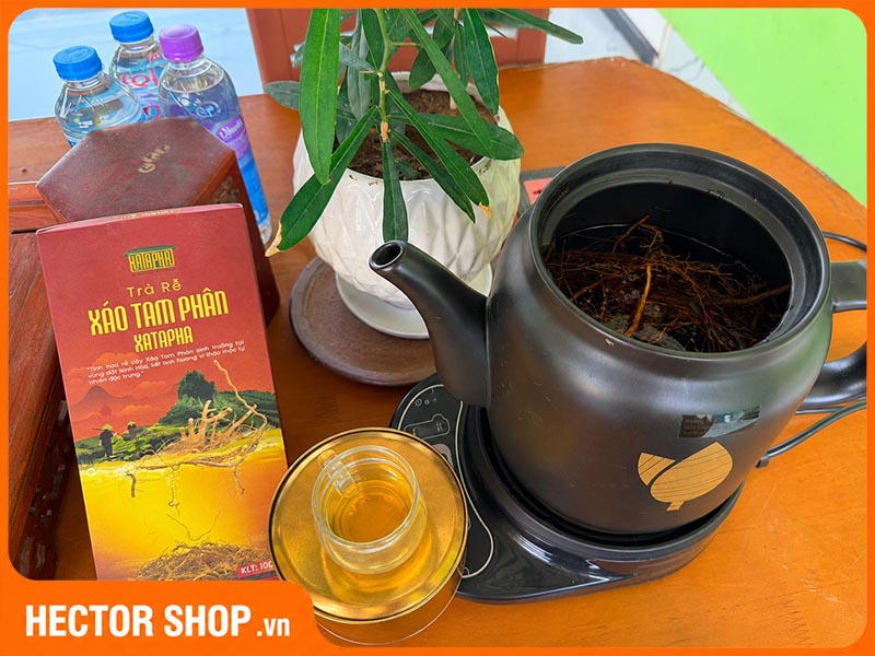 Trà rễ xáo tam phân
