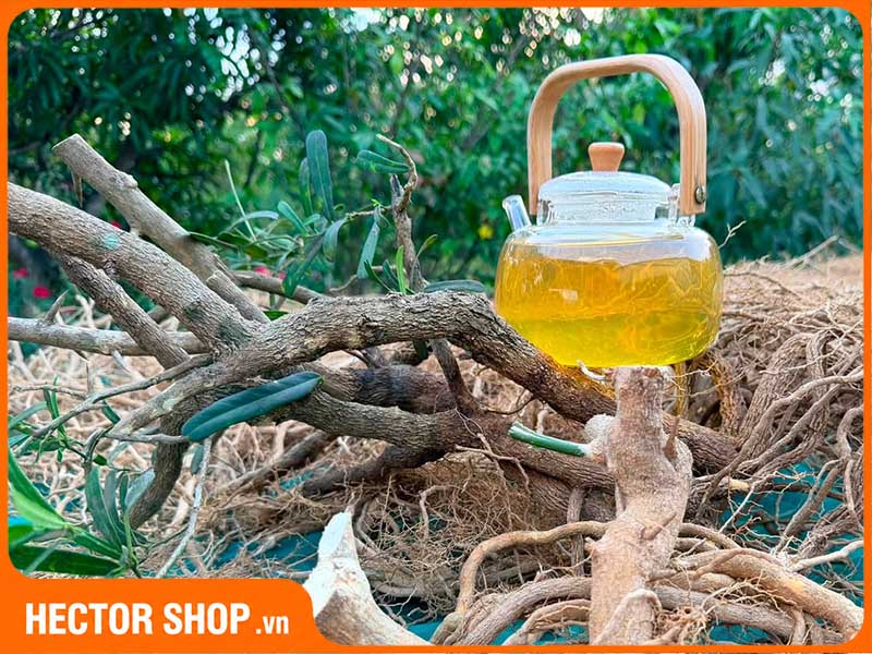 Trà rễ xáo tam phân