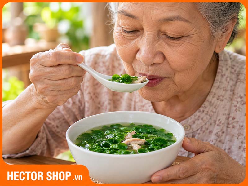 Canh rau chùm ngây - món ăn dân dã cho người suy nhược, già yếu
