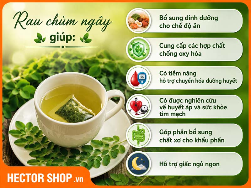 Chùm ngây mang lại nhiều lợi ích cho sức khoẻ