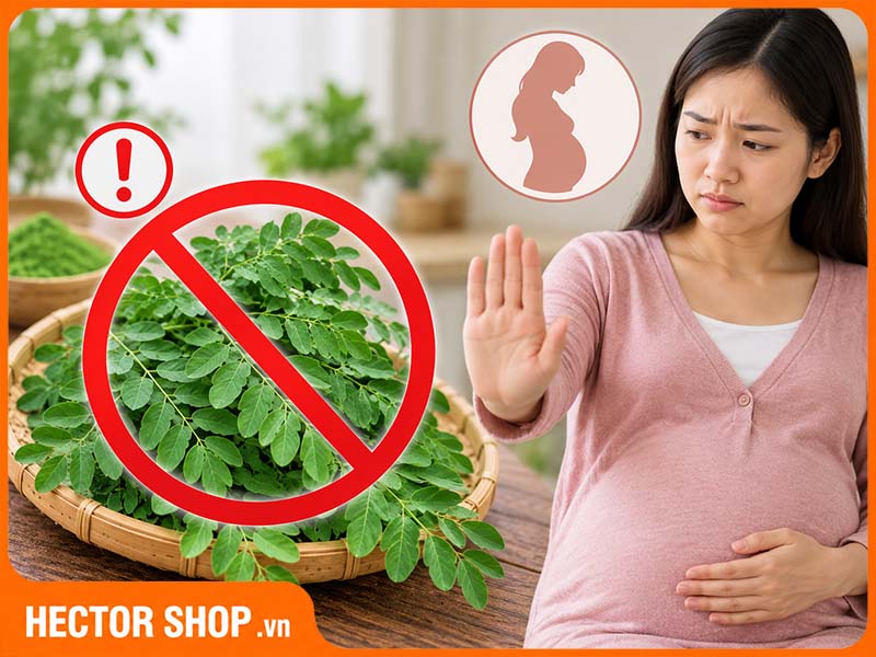 Chùm ngây có thể ảnh hưởng không tốt đến sức khoẻ thai kỳ