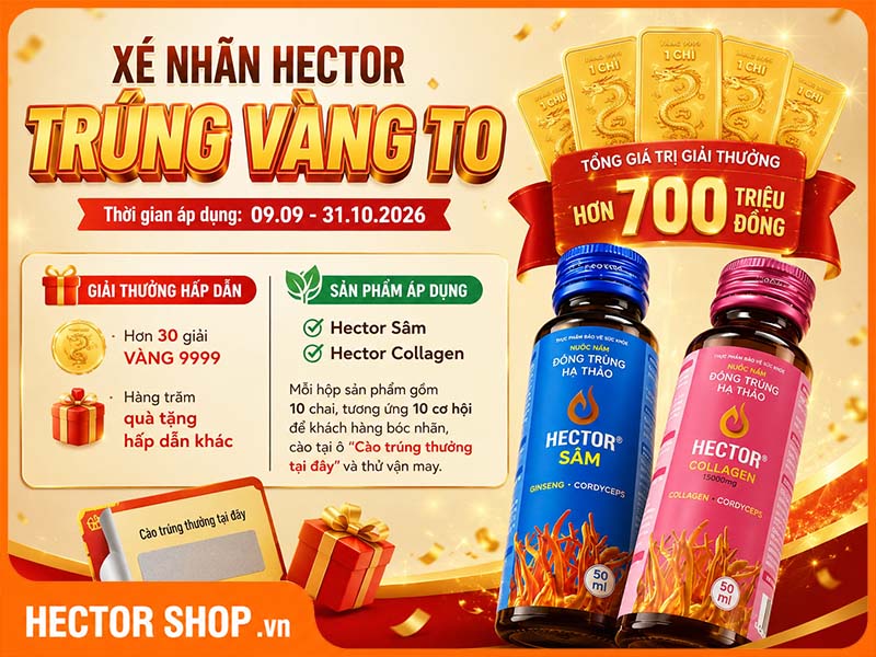 Đông trùng hạ thảo Hector khuyến mãi