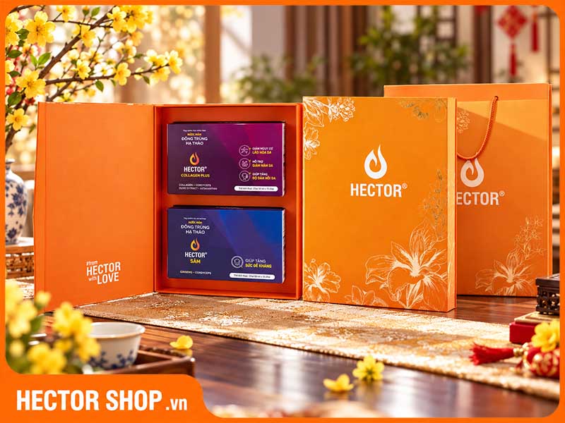 Hộp quà đông trùng hạ thảo Hector An Vui