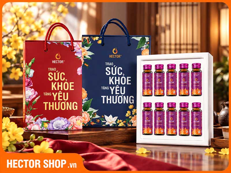 Hộp quà đông trùng hạ thảo Hector Cát tường