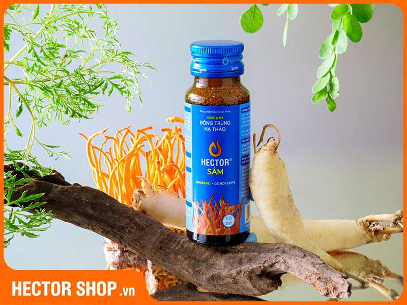Nước đông trùng hạ thảo Hector Sâm