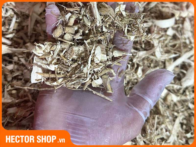 Nguyên liệu rễ xáo tam phân được sử dụng trong sản phẩm