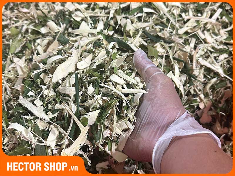 Xáo tam phân được sấy ở nhiệt độ 45 độ C tại nhà máy TPC