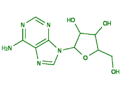 Adenosine là gì? Tác dụng Adenosine trong đông trùng hạ thảo