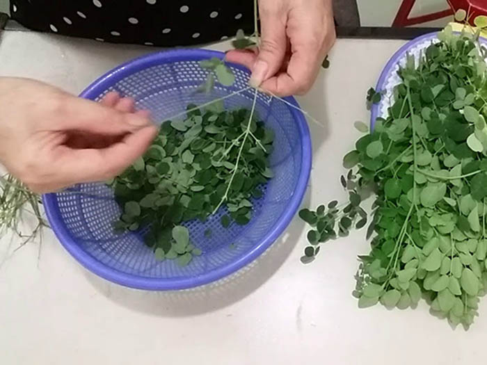 Những tác dụng thần kì của rau chùm ngây không phải ai cũng biết