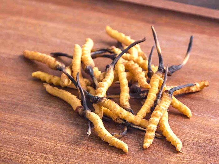 Những tác hại của đông trùng hạ thảo mà người bán chưa nói