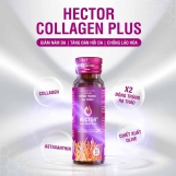 Nước nấm đông trùng hạ thảo Hector Collagen Plus