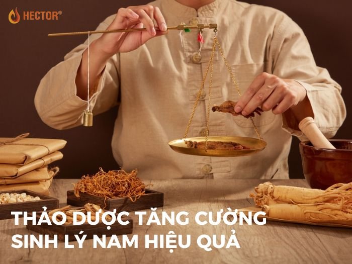 Lộ 13+ thảo dược tăng cường sinh lý nam người xưa giấu kín