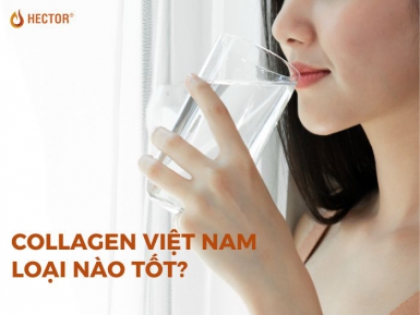 Top 9 loại Collagen Việt Nam loại nào tốt hiện nay