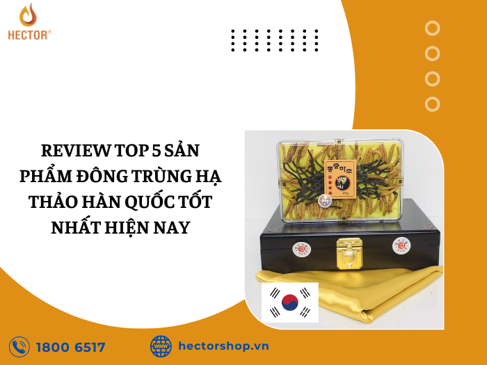 Top 5 thương hiệu Đông trùng hạ thảo Hàn Quốc phổ biến nhất